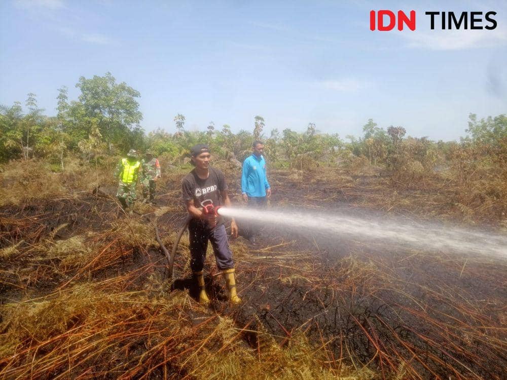 Karhutla tersebar di empat kabupaten dalam wilayah Aceh selama sepekan terakhir, Juli 2023. (Dokumentasi Pusdalops PB BPBA untuk IDN Times)