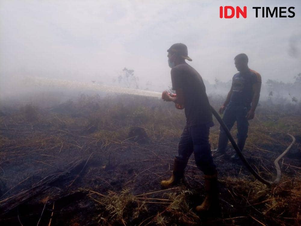 Sepekan Terakhir Kebakaran Hutan dan Lahan di Aceh Capai 18,5 Hektare
