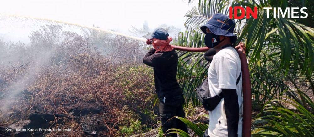 Karhutla tersebar di empat kabupaten dalam wilayah Aceh selama sepekan terakhir, Juli 2023. (Dokumentasi Pusdalops PB BPBA untuk IDN Times)