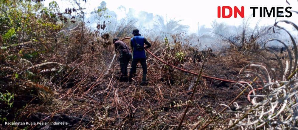 Karhutla tersebar di empat kabupaten dalam wilayah Aceh selama sepekan terakhir, Juli 2023. (Dokumentasi Pusdalops PB BPBA untuk IDN Times)
