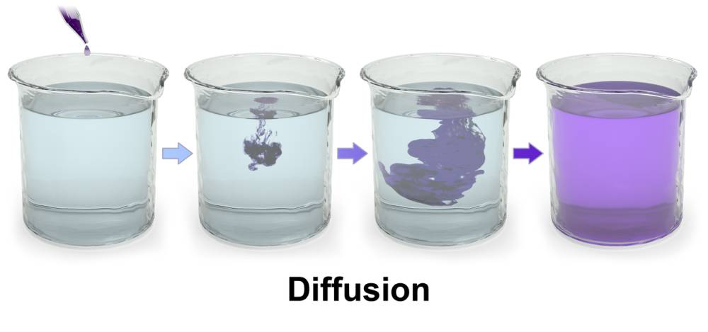 Ilustrasi contoh difusi dan osmosis (commons.wikimedia.org/BruceBlaus)
