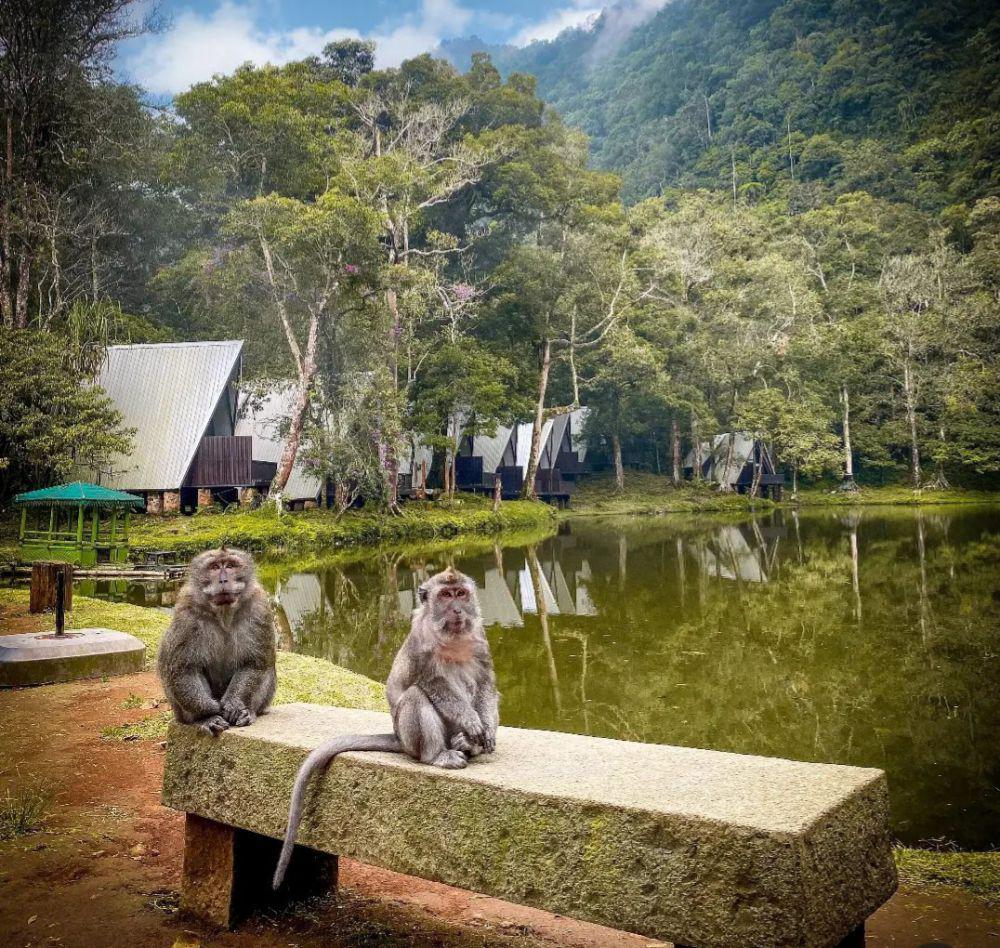 Telaga Warna Puncak: Info Lokasi, Aktivitas, dan Fasilitas