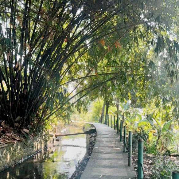 Ini Lokasi Hidden Gem Jogging Track di Bandung dengan Suasana Asri
