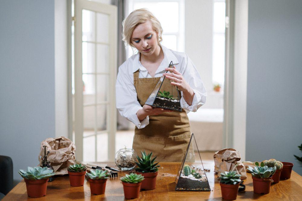 5 Langkah Mudah Membuat Terrarium sebagai Dekorasi Rumah