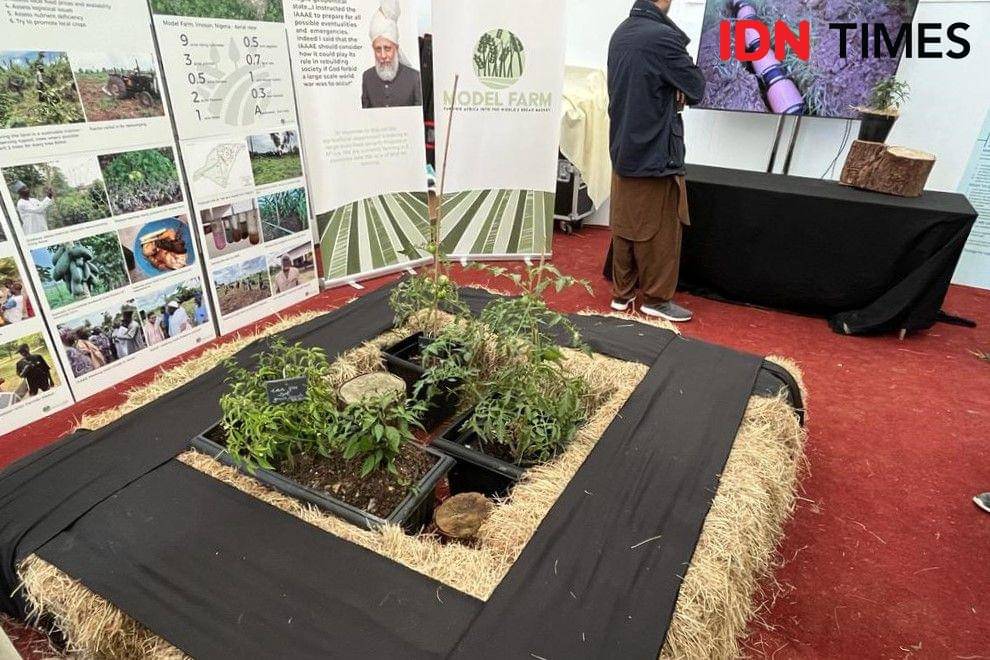 Ada juga pameran inovasi pertanian yang dikerjakan Ahmadiyah di Afrika. (IDN Times/Uni Lubis)