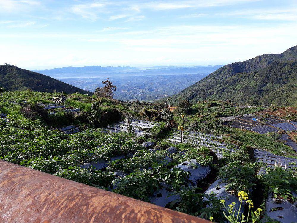 Dieng (commons.wikimedia.org/Rifkiaditia)
