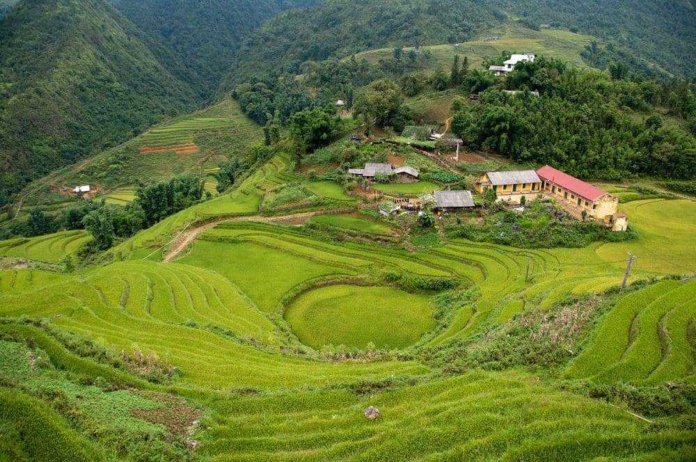Sapa Rice Terraces (commons.wikimedia.org/Pedro Alonso)