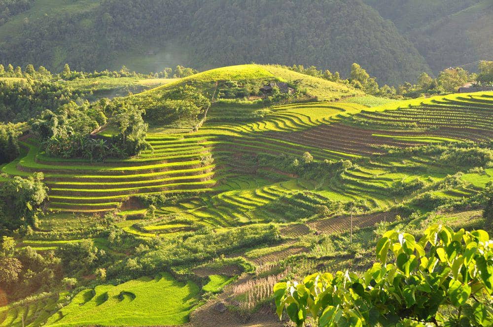 10 Potret Sapa Rice Terraces, Lanskap Terasering yang Menakjubkan