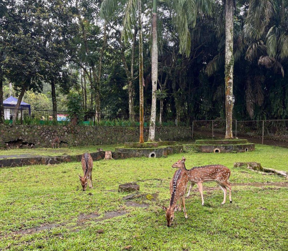 Taman Matahari Bogor: Lokasi, Harga Tiket, dan Tips Wisata