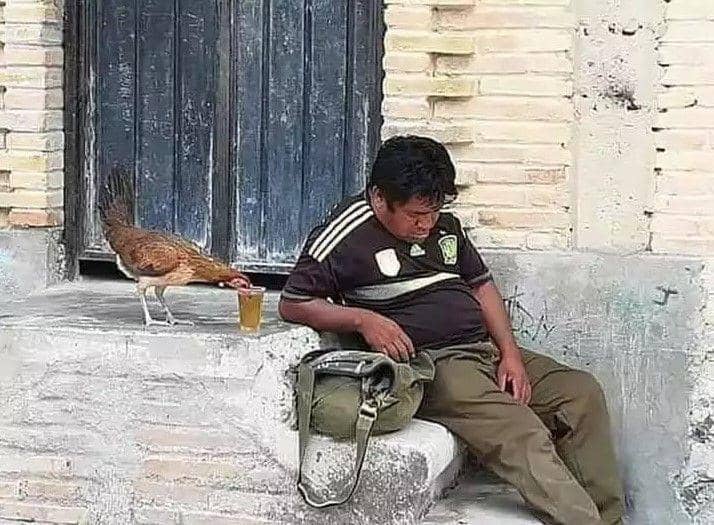 detik-detik apes dikerjain (izismile.com)