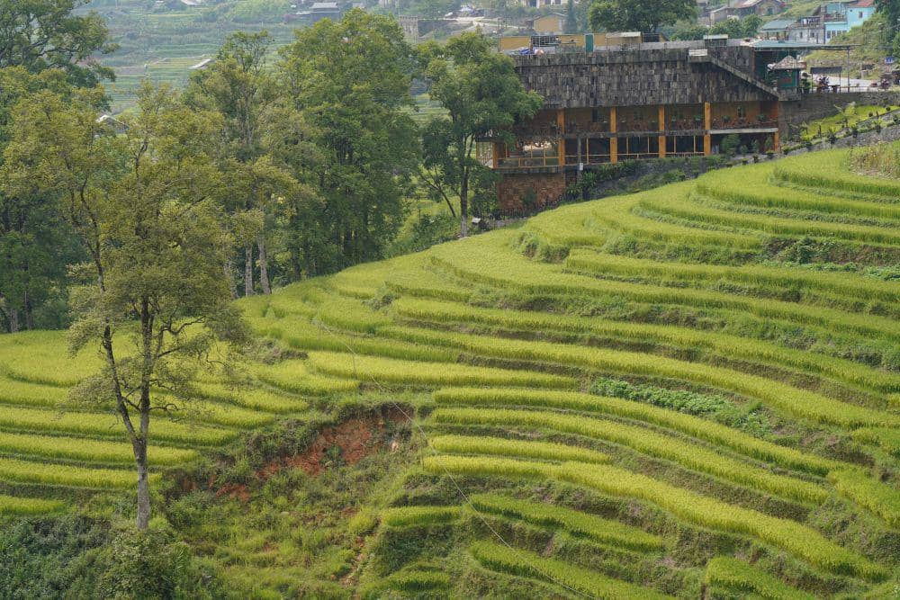 Sapa Rice Terraces (unsplash.com/Can Pham)