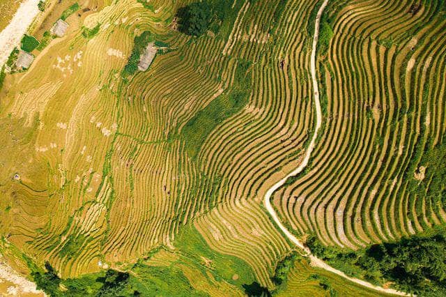 Sapa Rice Terraces (unsplash.com/Krisztian Tabori)