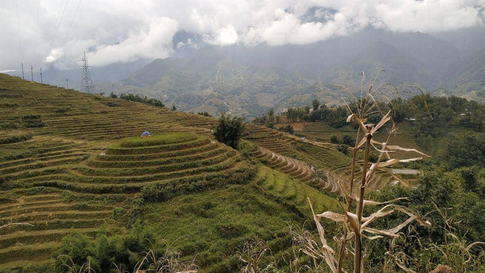 Sapa Rice Terraces (unsplash.com/Remi Moebs)