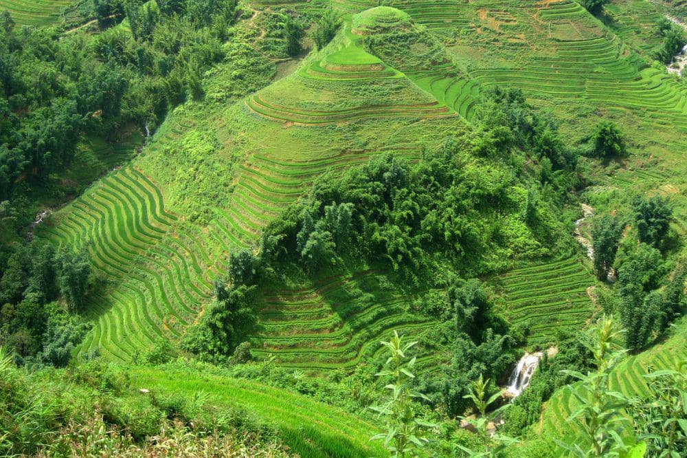 Sapa Rice Terraces (pixabay.com/martiuscroquart)