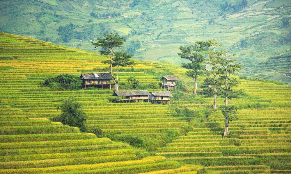 Sapa Rice Terraces (pixabay.com/sasint)