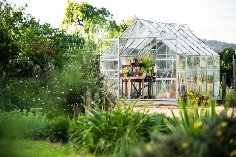 4 Langkah Ciptakan Greenhouse Mini, Inovasi Berkebun di Lahan Sempit