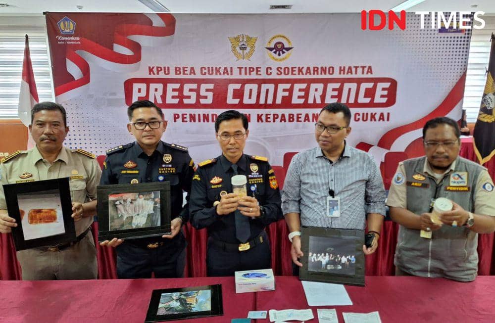 Penumpang Bandara Soetta Selundupkan Benih Lobster Rp5,3 Miliar