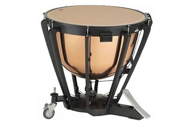 Ilustrasi timpani (tokopedia.com)