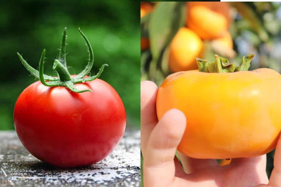[QUIZ] Apakah Kamu Bisa Bedain Buah Tomat dan Kesemek Ini?