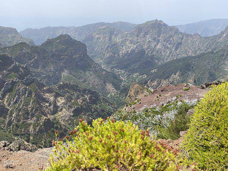 Madeira (commons.wikimedia.org/Antony_hap)