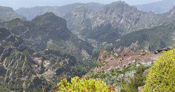 Madeira (commons.wikimedia.org/Antony_hap)