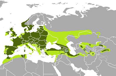 peta persebaran rusa merah di Eropa, Afrika Utara, dan Asia Barat (commons.wikimedia/org/Altaileopard)