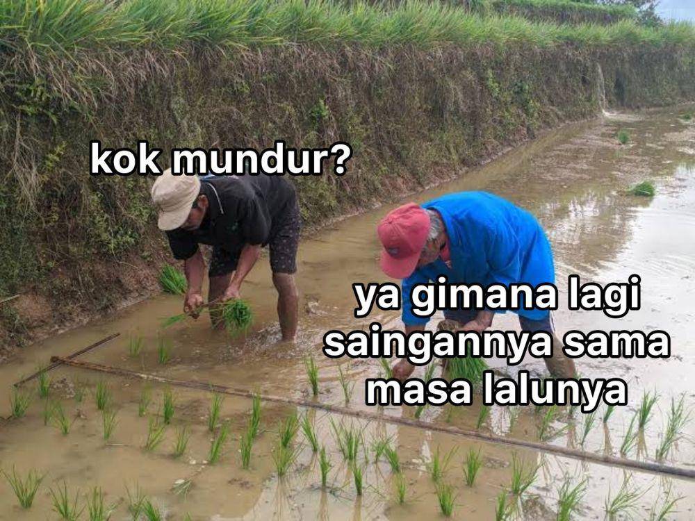 meme jawab pertanyaan (twitter.com/ohmyv3nus)