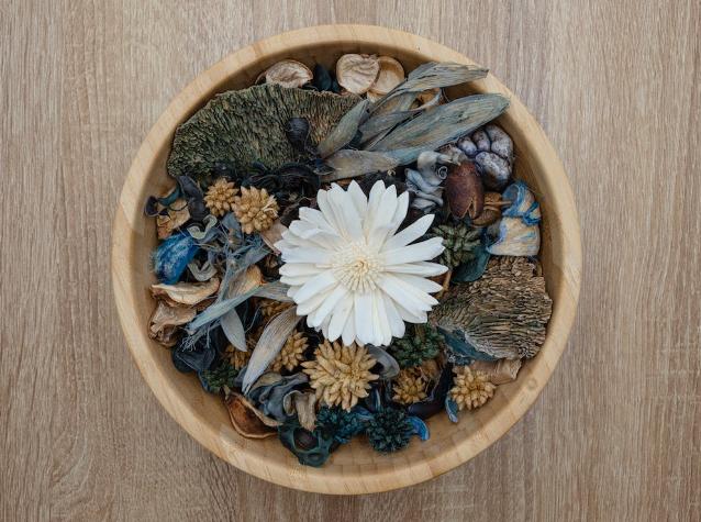 9 Penyegar Udara Alami yang Bisa Dicoba di Rumah, Eco-Friendly!