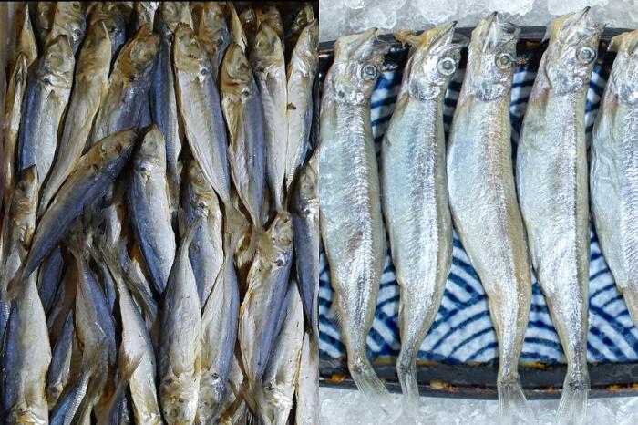 [QUIZ] Yakin Bisa Bedain Ikan Shisamo dan Ikan Asin Ini?
