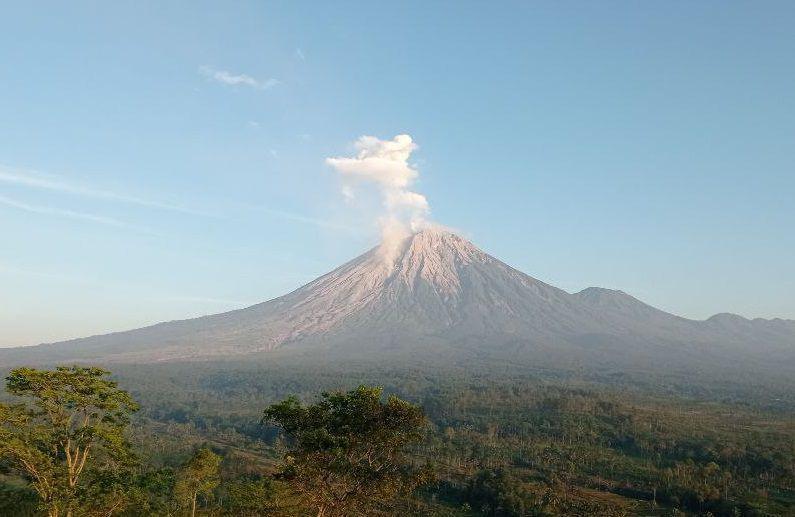 Muntahkan Lava Pijar, Semeru Alami Gempa 37 Kali Sehari