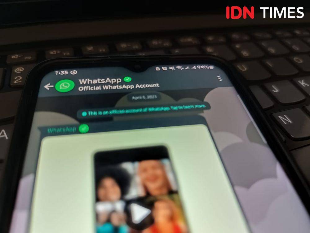 ilustrasi akun official WhatsApp (IDN Times/Fatkhur Rozi)