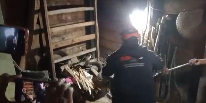 Warga Trenggalek Kaget Temukan Ular King Kobra di Dapur Rumah