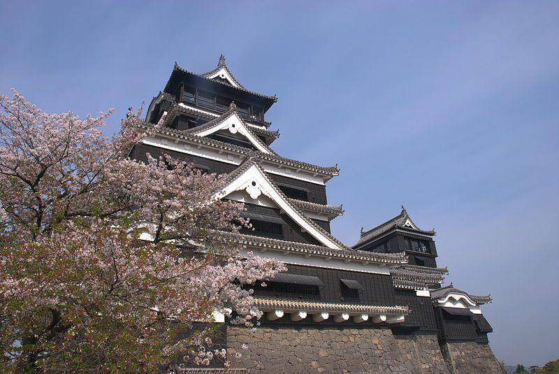 potret Kastil Kumamoto dengan kelopak sakura yang mekar di sebelahnya (commons.wikimedia.org/Yamaguchi Yoshiaki)