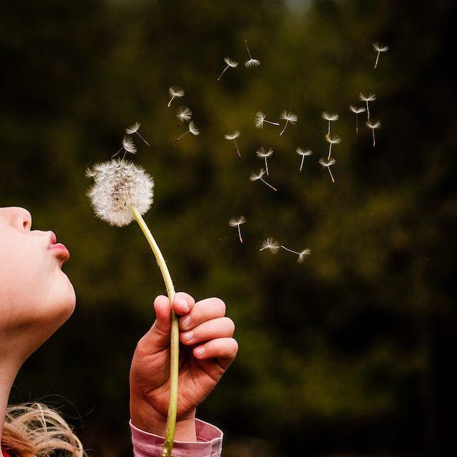 Ilustrasi cewek niup bunga (unsplash.com/Ivan Dostál)