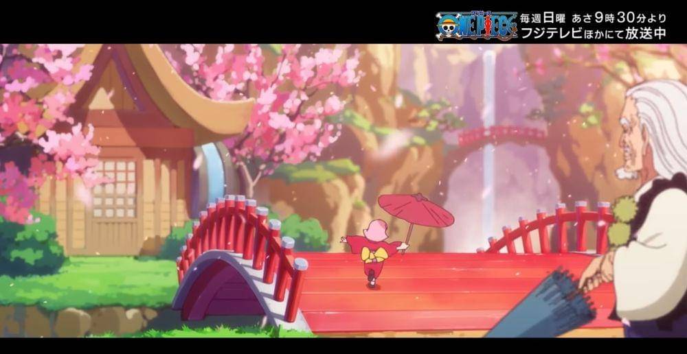 Toei Animation/One Piece