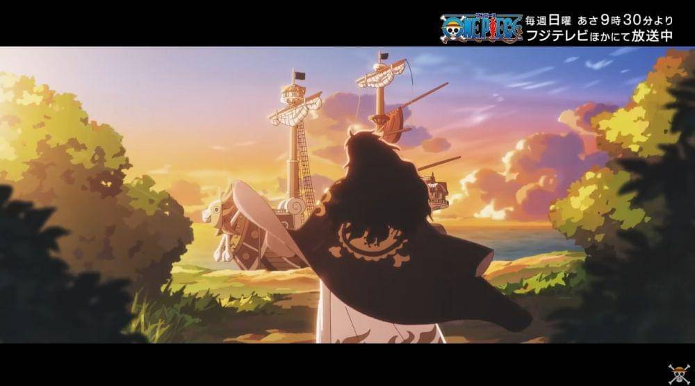 Toei Animation/One Piece
