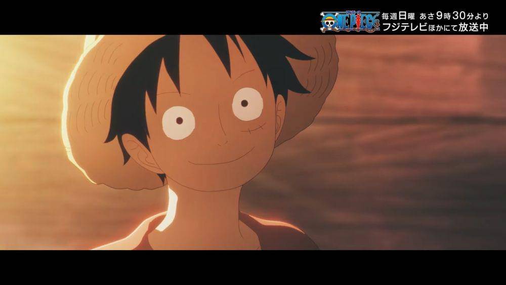 Toei Animation/One Piece