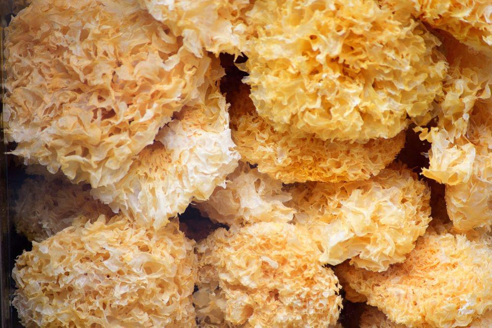 5 Tips Mengolah Jamur Salju Kering agar Lembut dan Kenyal