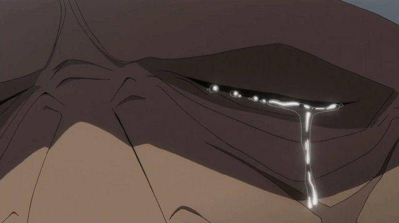 (Dok. Toei Animation/One Piece)