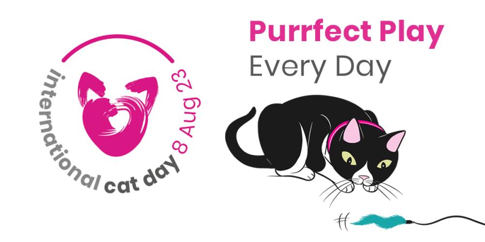 ilustrasi perayaan Hari Kucing Sedunia (dok. International Cat Care)