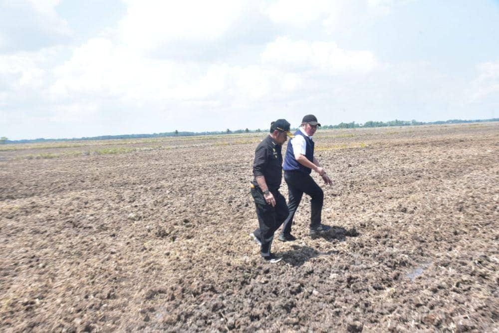 Sumsel Siapkan 150.000 Lahan Baru Antisipasi Dampak El Nino