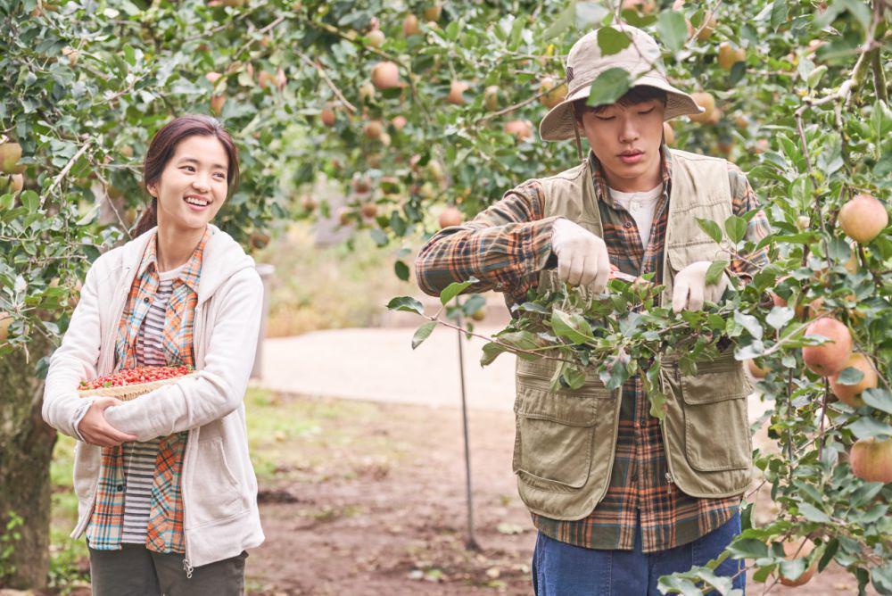 5 Film tentang Frugal dan Slow Living, Penyegar di Kala Suntuk
