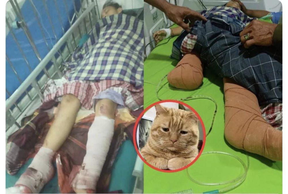 Kronologi Nabila Febrianti Harus Diamputasi karena Selamatkan Kucing
