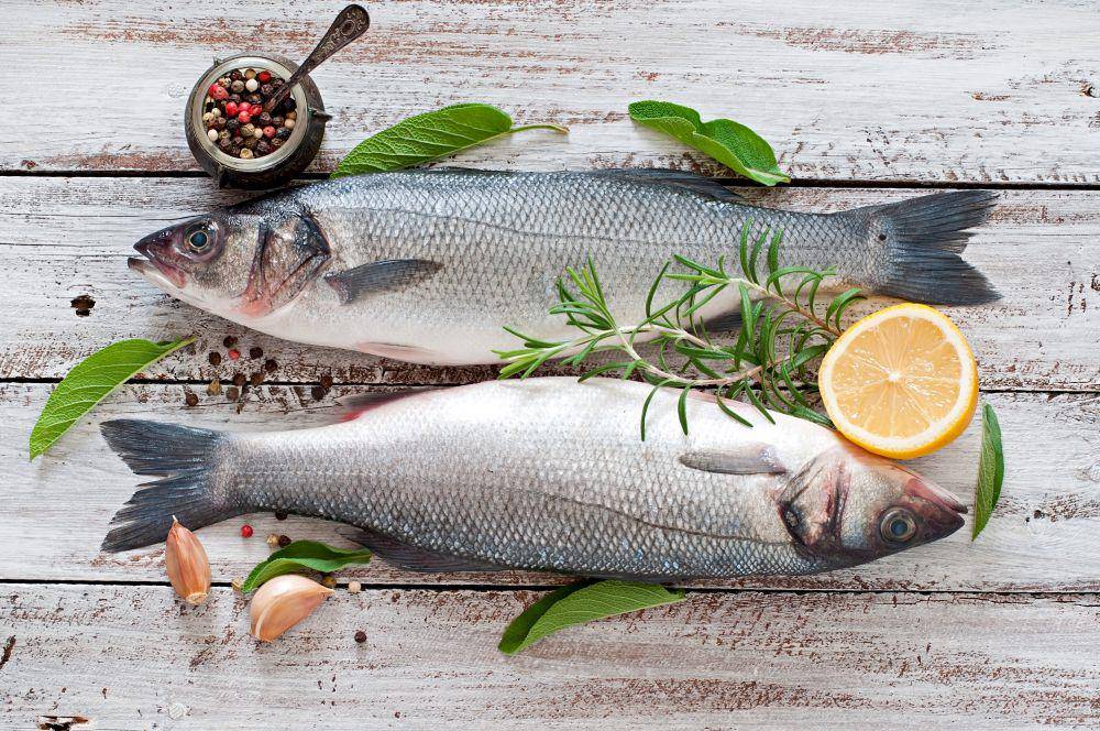 ilustrasi ikan bandeng (freepik.com/timolina)