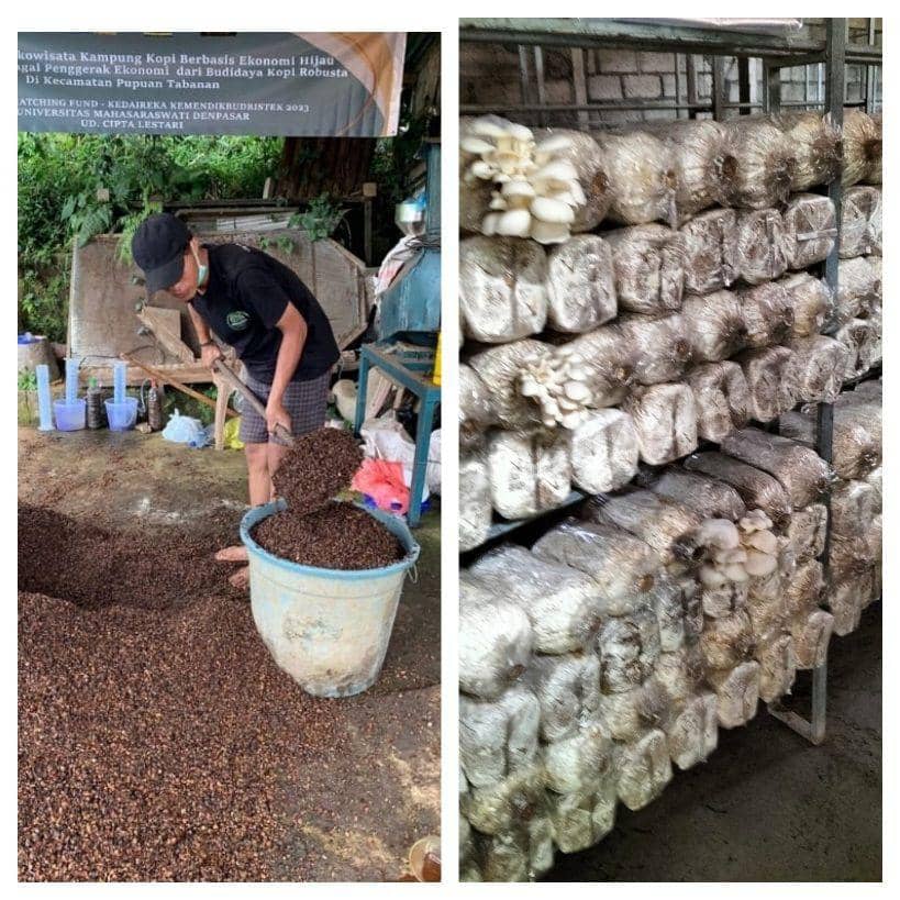 Proses pengolahan limbah kopi menjadi baglog jamur (Dok.IDN Times/Istimewa)