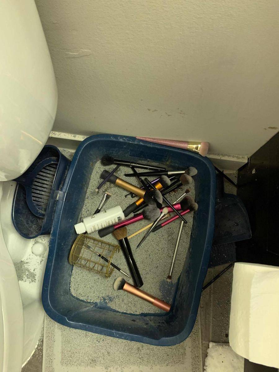 potret momen apes saat lagi makeup (reddit.com/user/allergies____)