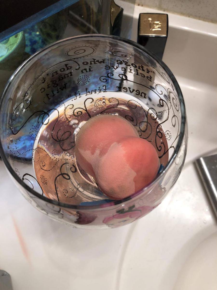 potret momen apes saat lagi makeup (reddit.com/r/Wellthatsucks)
