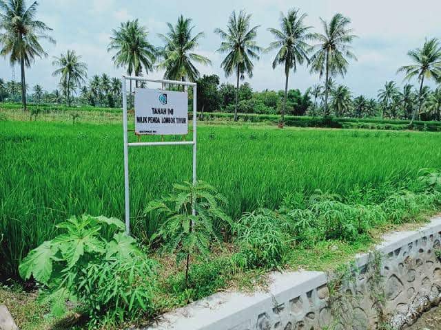 Ratusan Bidang Tanah Milik Pemkab Lotim Belum Bersertifikat