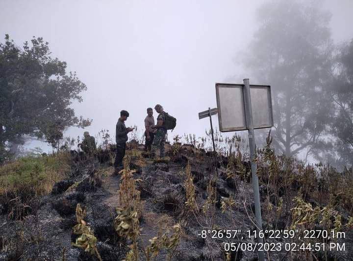 Kawasan Gunung Rinjani yang terbakar. (dok. BTNGR)
