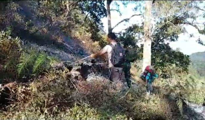 Petugas memadamkan kebakaran hutan di kawasan Gunung Rinjani di jalur pendakian Aik Berik Lombok Tengah. (dok. BTNGR)